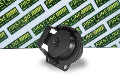 окачване, двигател FIRST LINE FEM3434