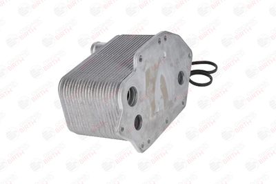 RADIATOR ULEI ULEI MOTOR BIRTH 80308 5