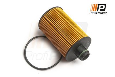 alyvos filtras 1F0169 ProfiPower