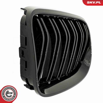GRILA RADIATOR ESEN SKV 66SKV116 8