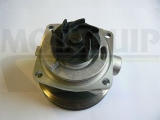 MOTAQUIP VWP557 Помпа (водяной насос)  для FIAT PUNTO (Фиат Пунто)