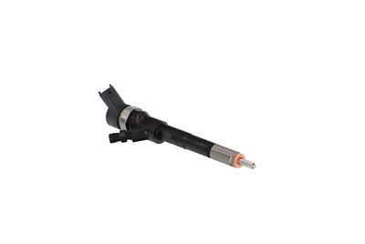 INJECTOR REMANTE 002003001665R 46