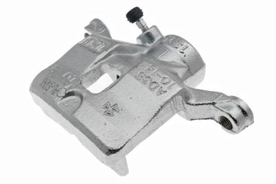 Jarrusatula LAUBER 77.1142