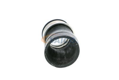 360 Grad Ansicht 12