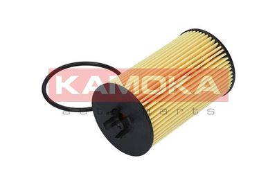 Oil Filter F106001