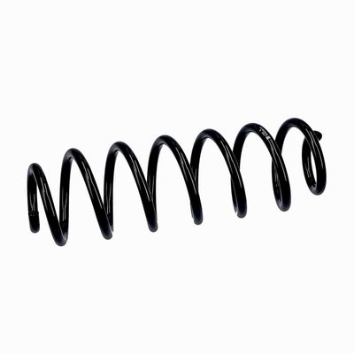 ARC SPIRAL EIBACH R10793 18
