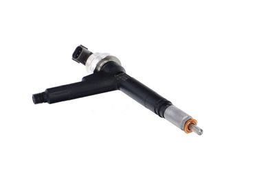 INJECTOR REMANTE 002003000084R 53