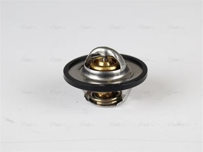 AVA QUALITY COOLING Thermostat, Kühlmittel (PETS001)