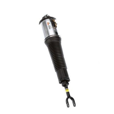 LUFTFEDERBEIN Arnott AS2560 69