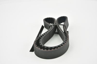 CUREA DE DISTRIBUTIE FEBEST 011404AFE 15