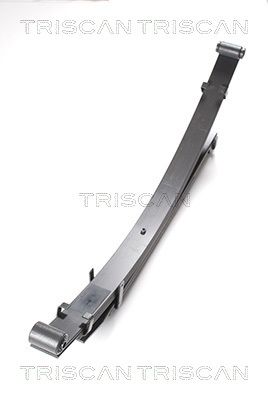 TRISCAN Federnpaket