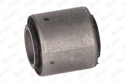 BUCSA ARBORE DE DIRECTIE BIRTH 4739 12