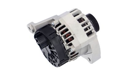 GENERATOR / ALTERNATOR REMANTE 011003000012R 38