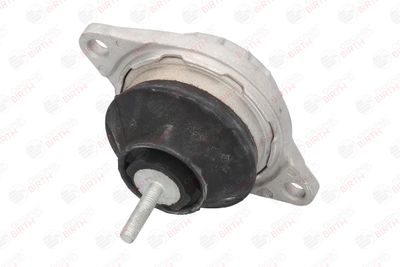 SUPORT MOTOR BIRTH 5460 2
