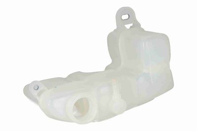 VAS DE EXPANSIUNE RACIRE