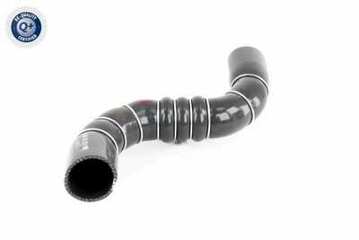 FURTUN EAR SUPRAALIMENTARE ACKOJA A389602 8