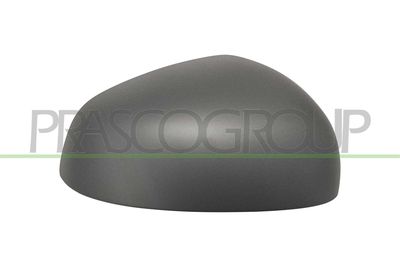 ACOPERIRE OGLINDA EXTERIOARA