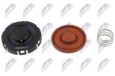 MEMBRANA AERISIRE CARCASA ARBORE COTIT