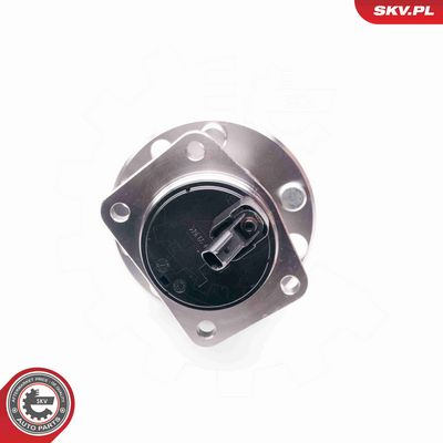 SET RULMENT ROATA ESEN SKV 29SKV002 2