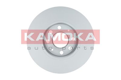 Brake Disc 1033568