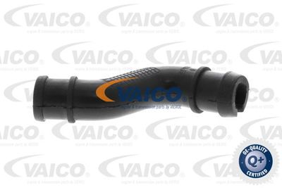 Шланг, вентиляция картера VAICO V24-1293 для FIAT ALBEA