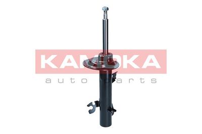 Shock Absorber 2001083