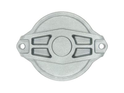 AS-PL Starterdeckel, Vergaser