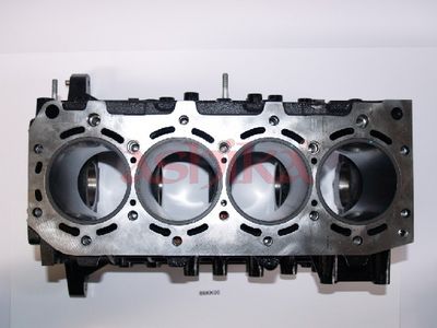 CARTER MOTOR