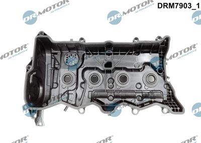 Kryt hlavy válce Dr.Motor Automotive DRM7903