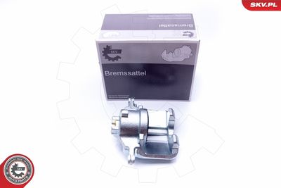 Brake Caliper 42SKV182