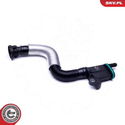 Žarna, karterio alsuoklis