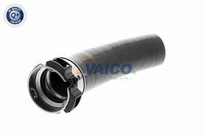 LADELUFTSCHLAUCH VAICO V461198 8