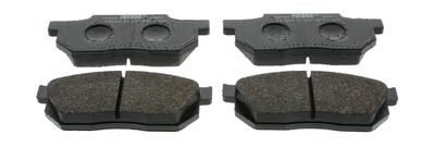 SET PLACUTE FRANA FRANA DISC FERODO FDB300