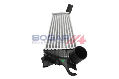 INTERCOOLER COMPRESOR BOGAP R4220123 6