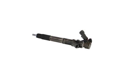 INJECTOR REMANTE 002003001324R 13
