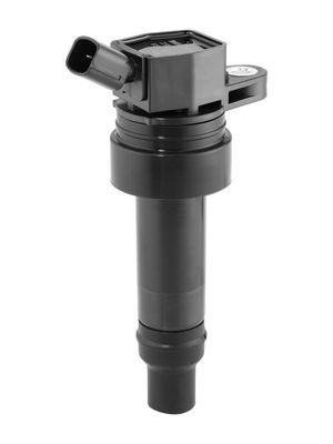 запалителна бобина BorgWarner (BERU) ZS625