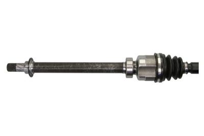 Drive Shaft G2R195PC