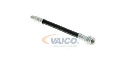 FURTUN FRANA VAICO V249644 8