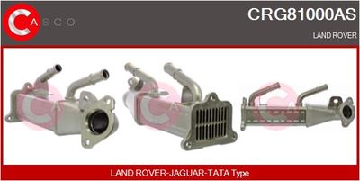 RADIATOR RECIRCULARE GAZE DE ESAPAMENT