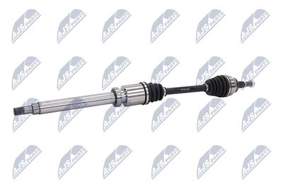 PLANETARA NTY NPWFR046 4