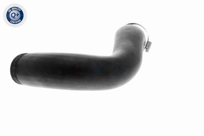 FURTUN EAR SUPRAALIMENTARE VAICO V104816 4