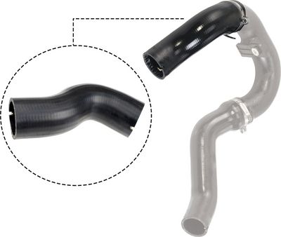 FURTUN EAR SUPRAALIMENTARE