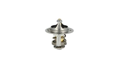 TERMOSTAT LICHID RACIRE NRF 725167 36