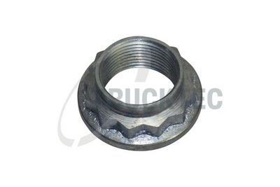 PIULITA AX PLANETARA