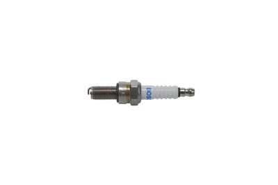 BOSCH Spark Plug F 01A 027 013