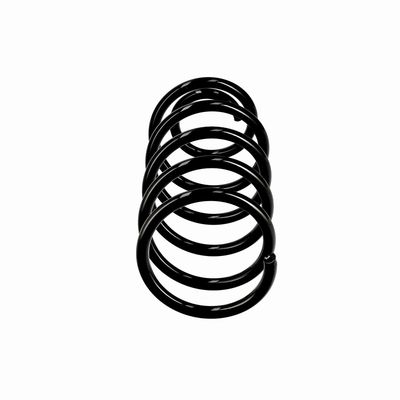 ARC SPIRAL EIBACH R10814 1