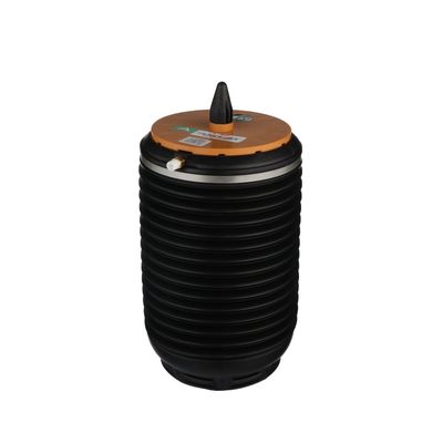 LUFTFEDER FAHRWERK Arnott A3892 30