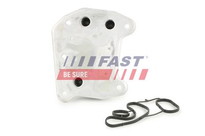 RADIATOR ULEI CUTIE VITEZE