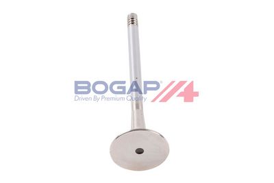 SUPAPA EVACUARE BOGAP A1353100