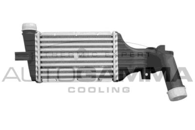 AUTOGAMMA 102553 Интеркулер 
